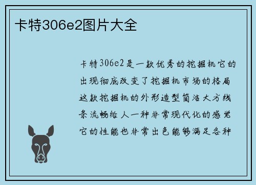 卡特306e2图片大全