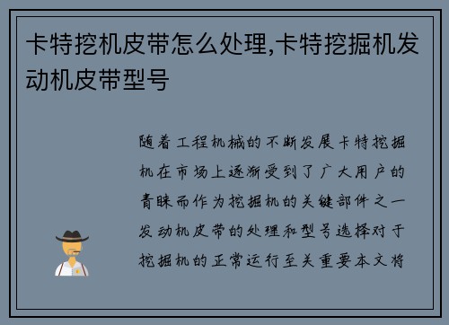 卡特挖机皮带怎么处理,卡特挖掘机发动机皮带型号